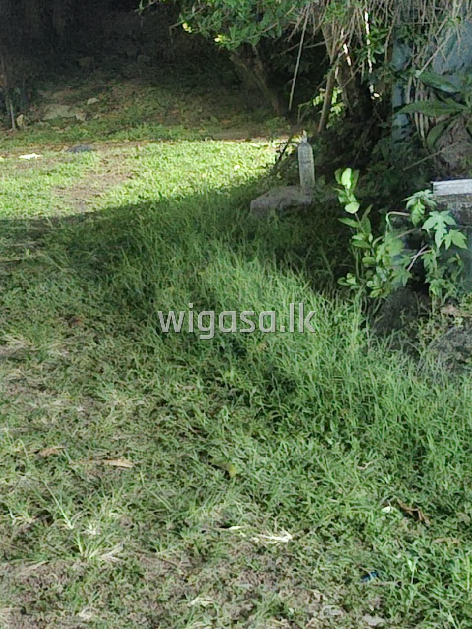 Commercial Land for Rent/Lease