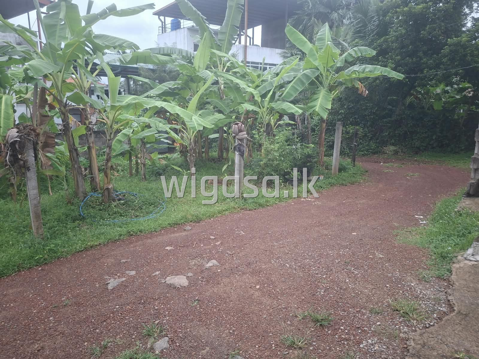 කුලියට හෝ බදු පදනම මත, පැළ තවානක් හෝ වාහන අලුත්වැඩියා මධ්‍යස්ථානයක්